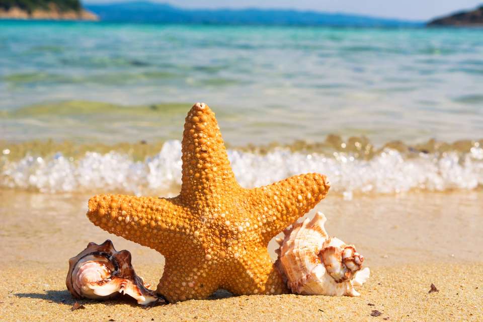 夏といえば常夏の海へ海外旅行