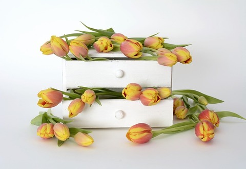 Medium tulips 2101912 640